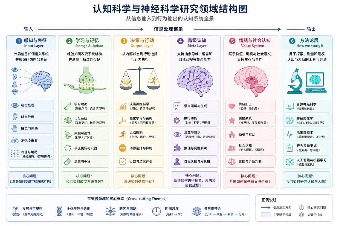 认知科学与神经科学研究领域结构图